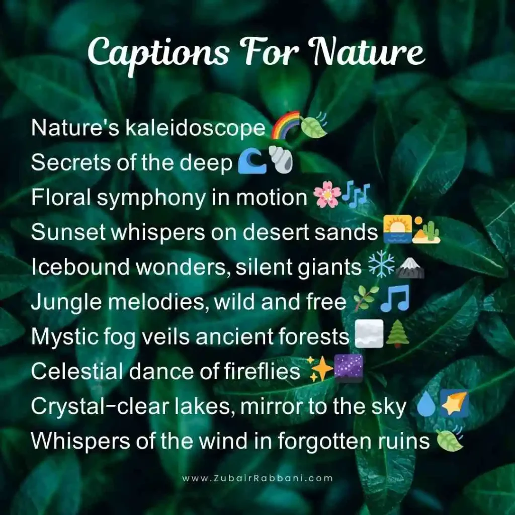 Best Instagram Bios & Captions for Nature