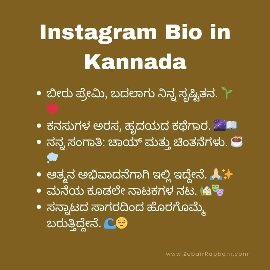 Instagram Bio in Kannada