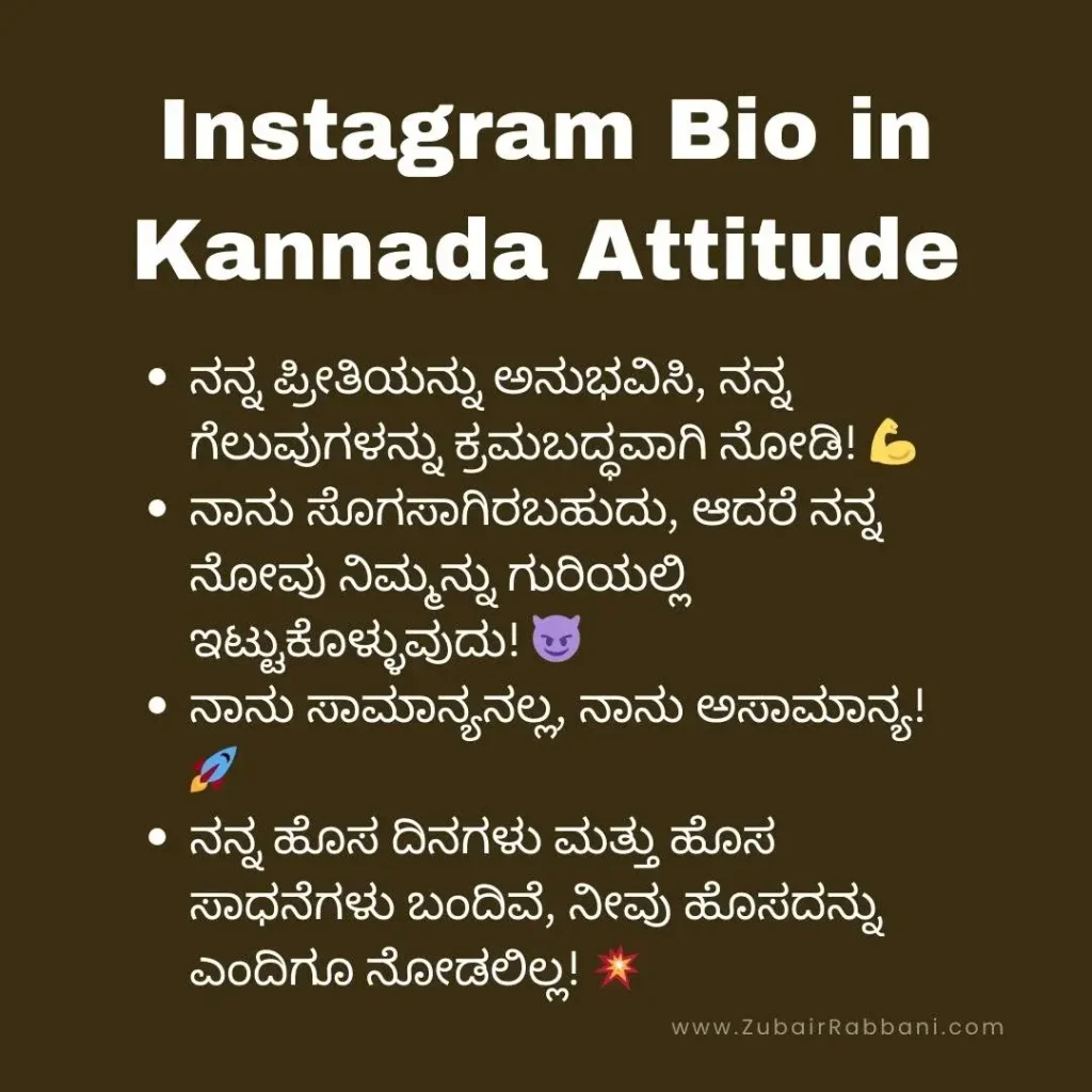 Instagram Bio in Kannada Attitude