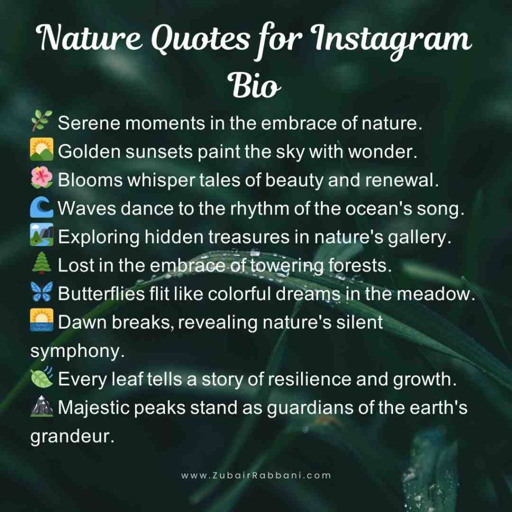 Nature Quotes for Instagram Bio