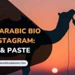 Arabic Bio For Instagram Copy & Paste