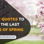 Best May Quotes to Savor the Last Moments of Spring