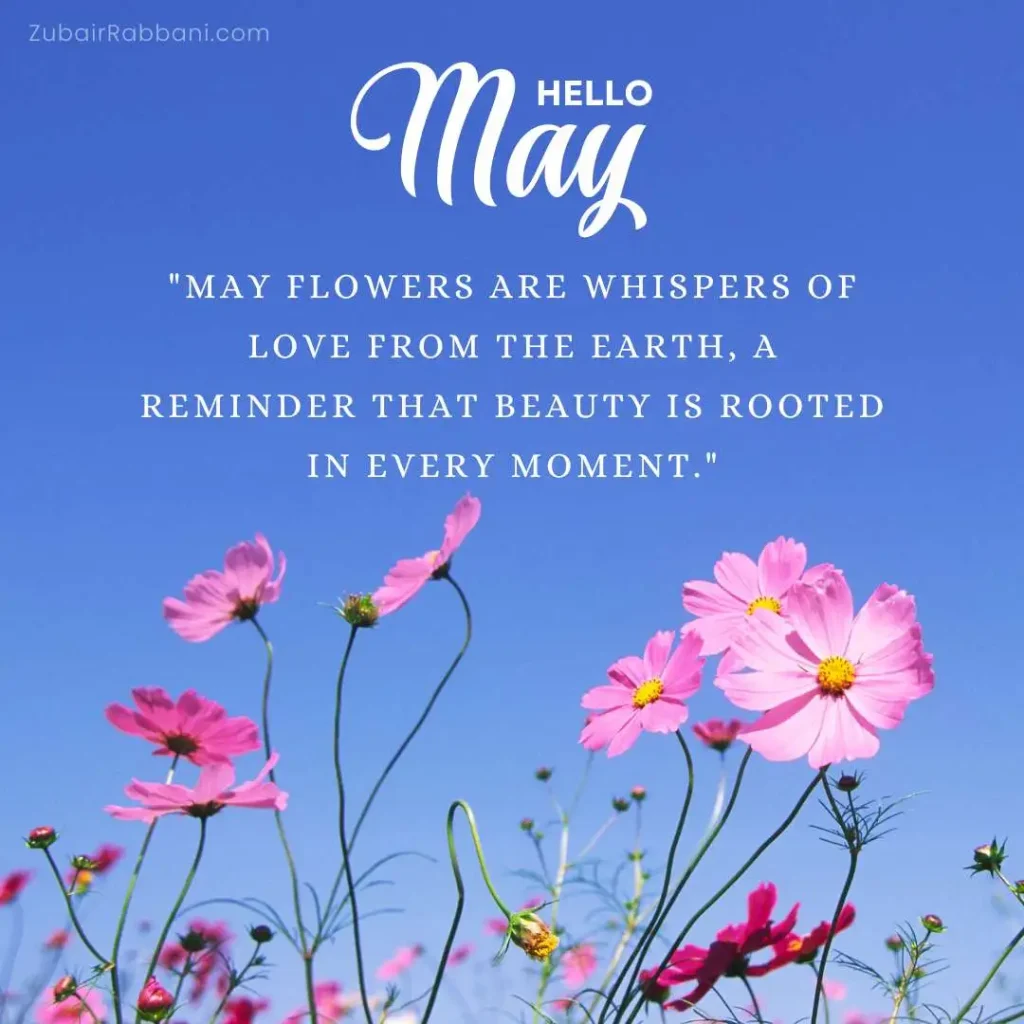 May Flowers Quotes