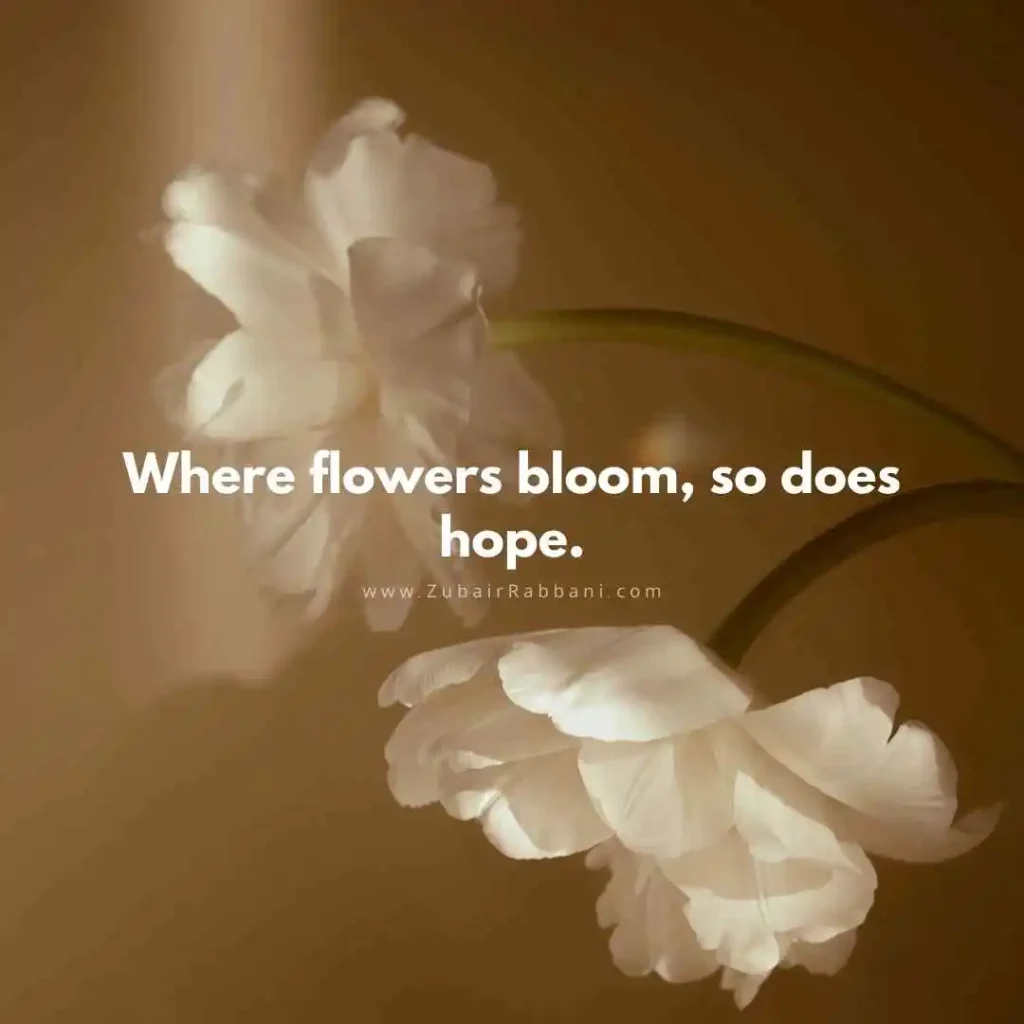 Aesthetic Flower Captions For Instagram