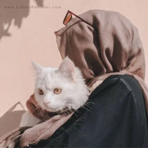 Aesthetic Cute Hijab Girl DP