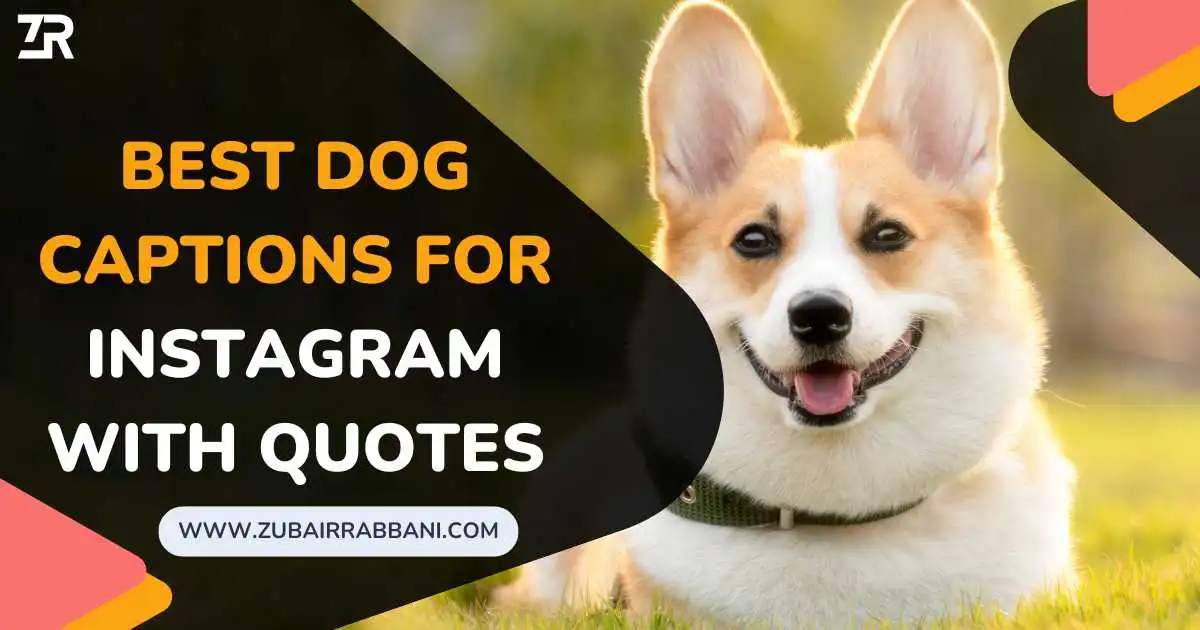 Best Dog Captions For Instagram With Quotes