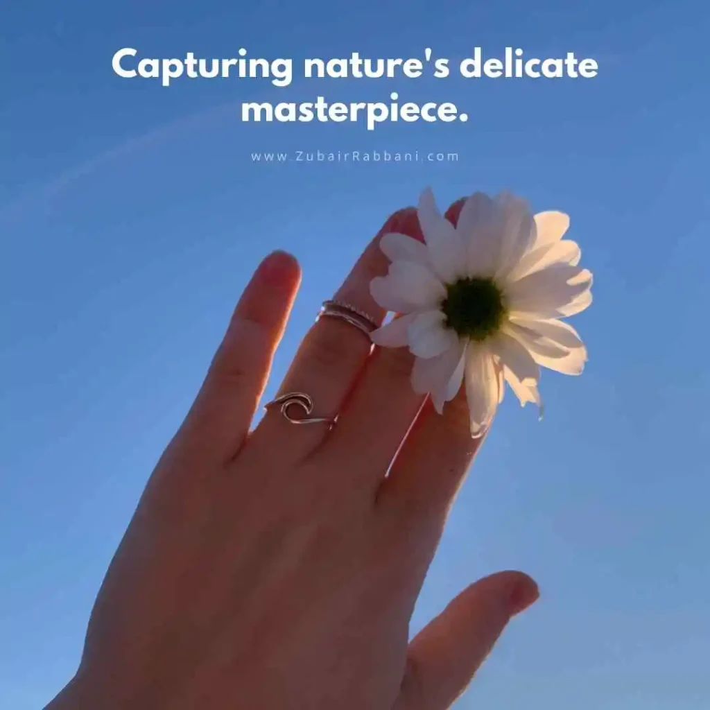 Captions For Flower Photography