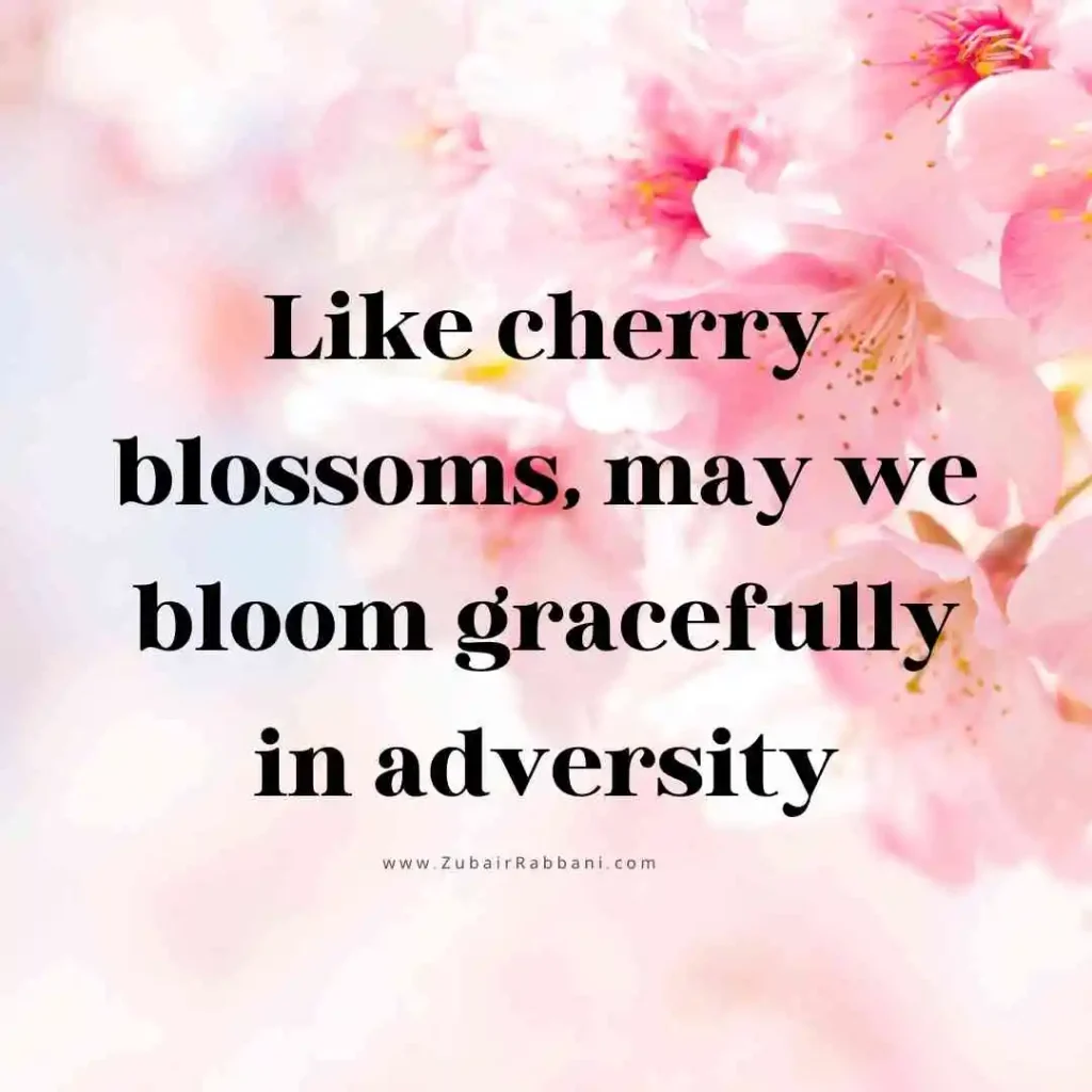 Cherry Blossom Quotes