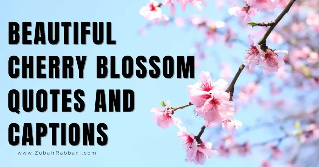 Cherry Blossom Quotes