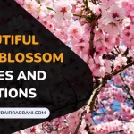 Cherry Blossom Quotes And Captions