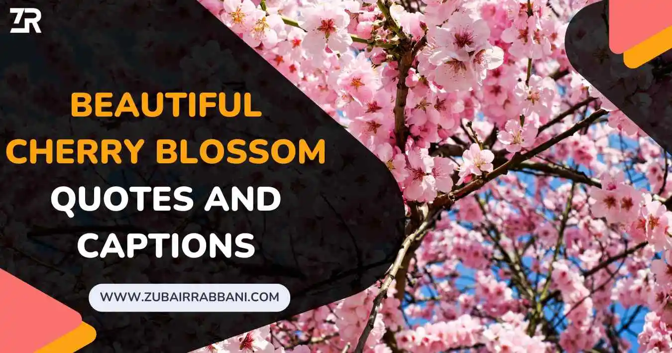 Cherry Blossom Quotes And Captions