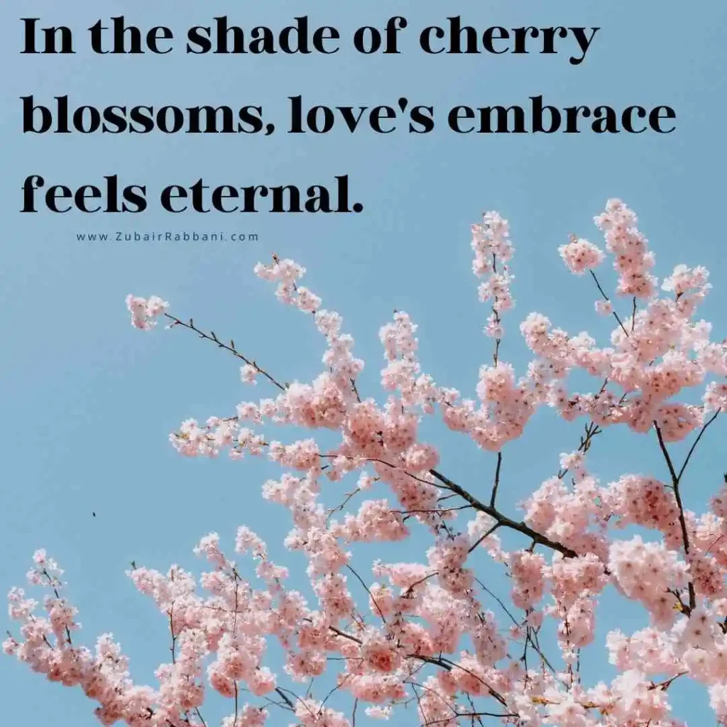 Cherry Blossom Quotes Love