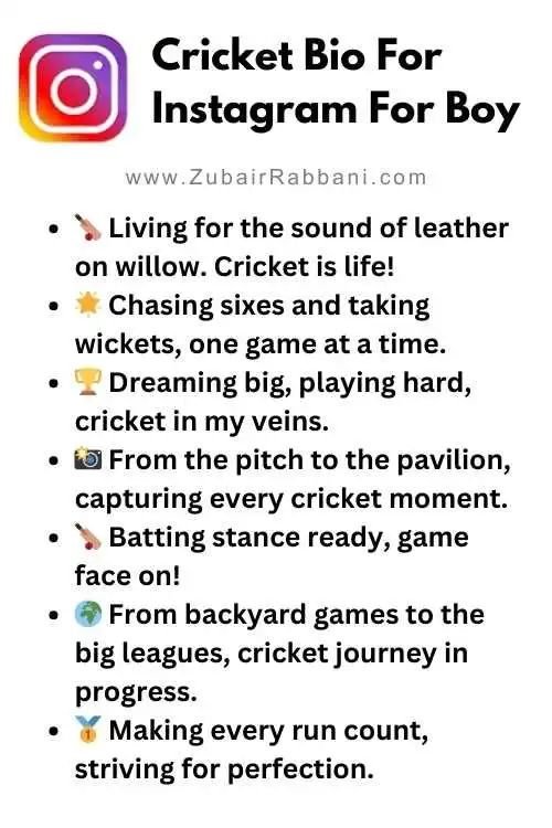 Cricket Bio For Instagram For Boy