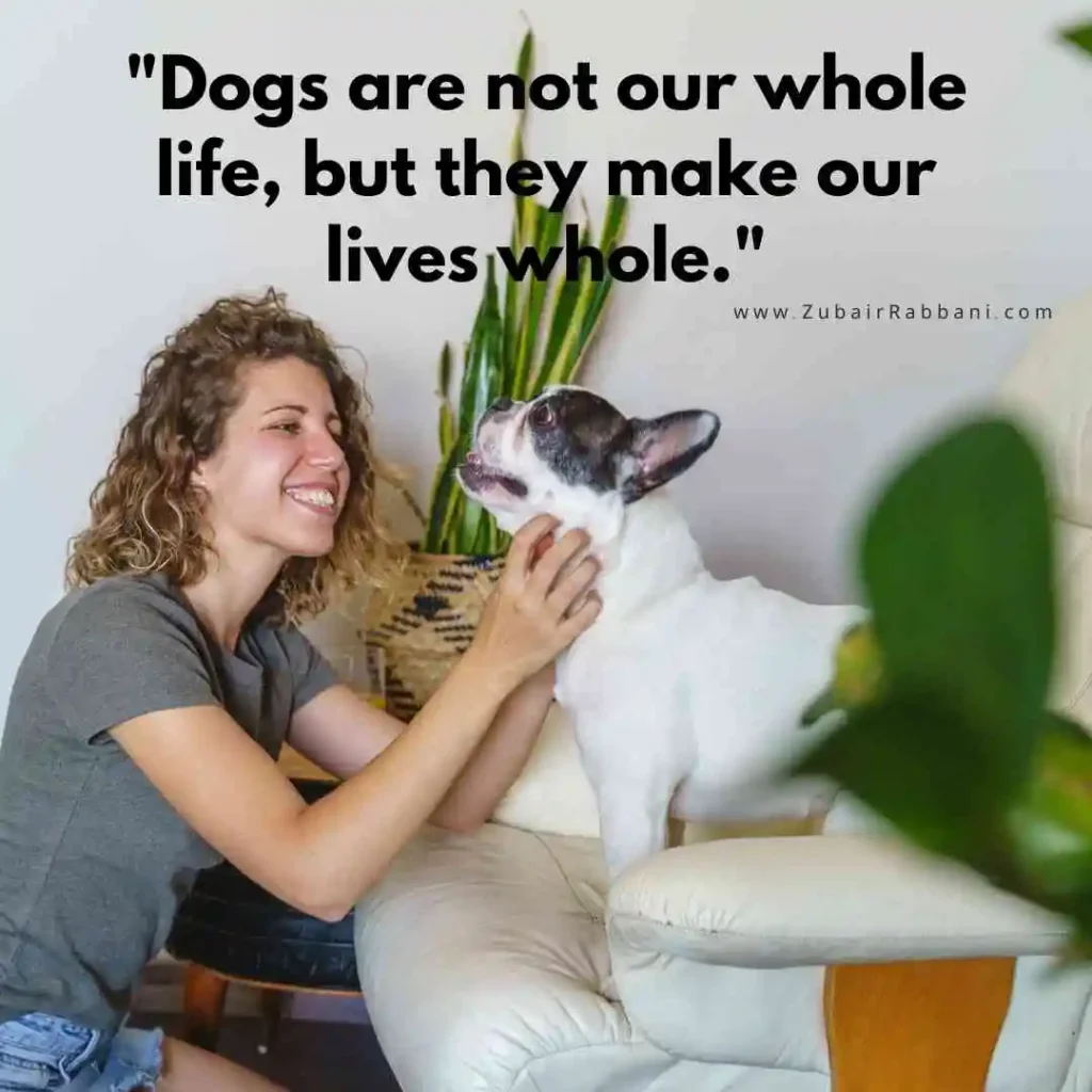 Dog Quotes For Instagram