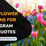 Flower Captions For Instagram With Quotes