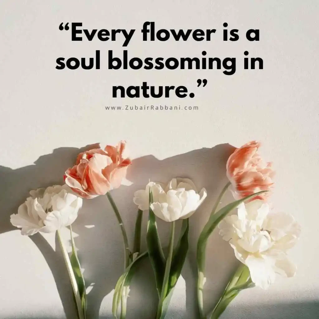 Flower Quotes For Instagram