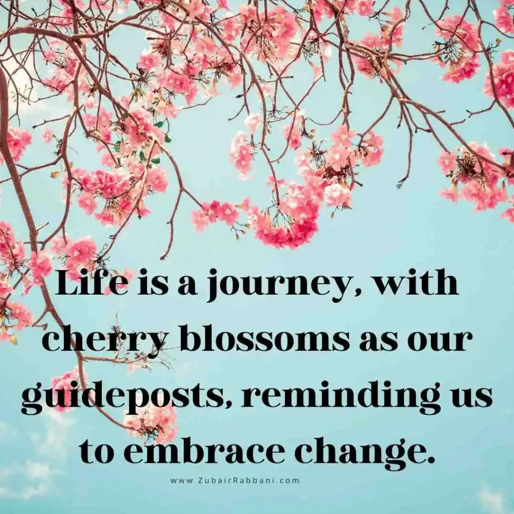 Meaningful Cherry Blossom Quotes About Life