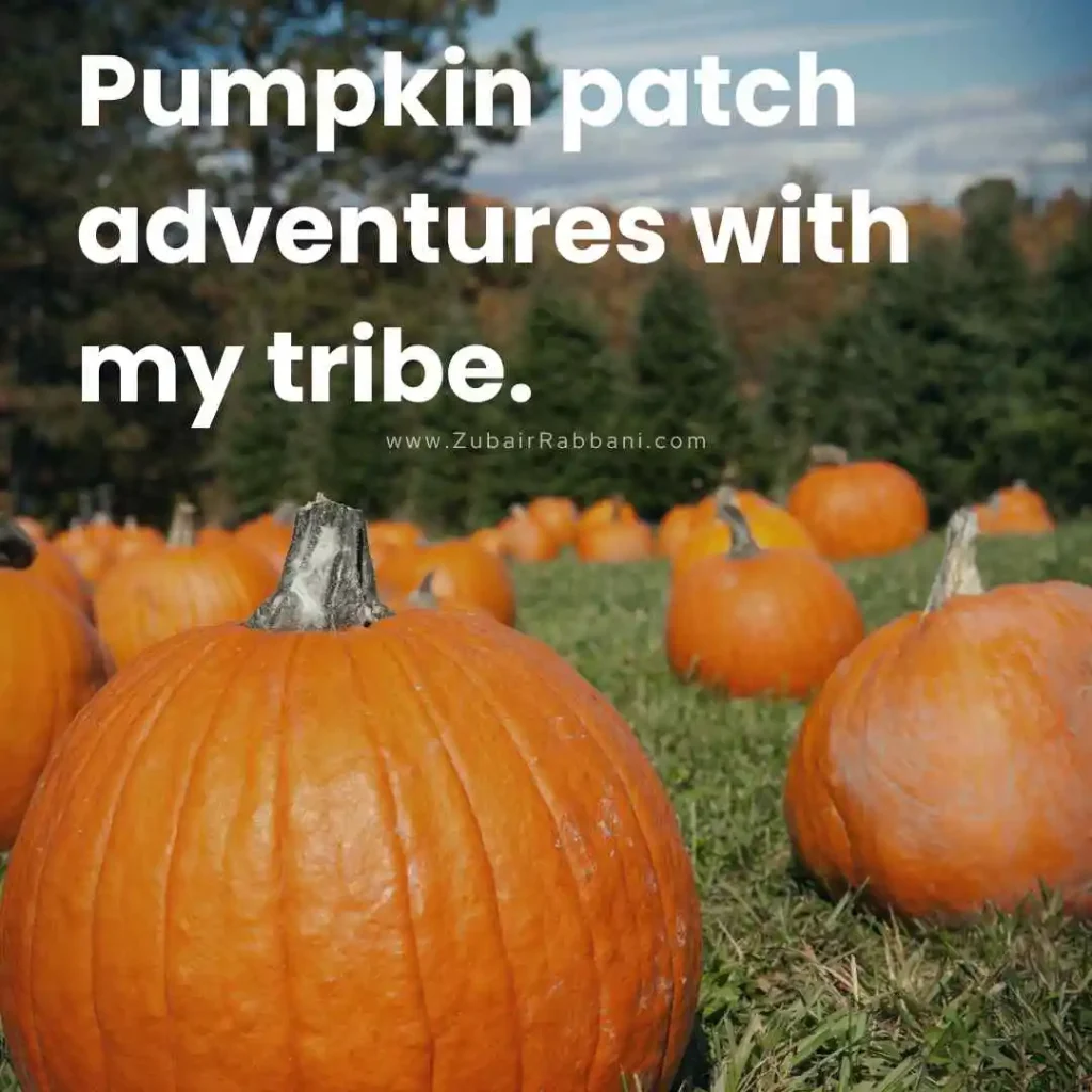 Pumpkin Patch Captions For Family