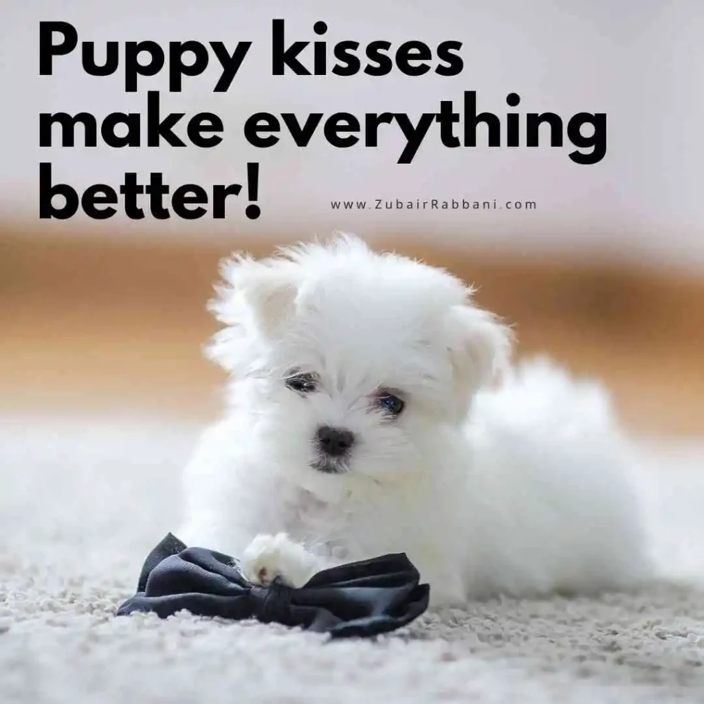 Puppy Captions For Instagram