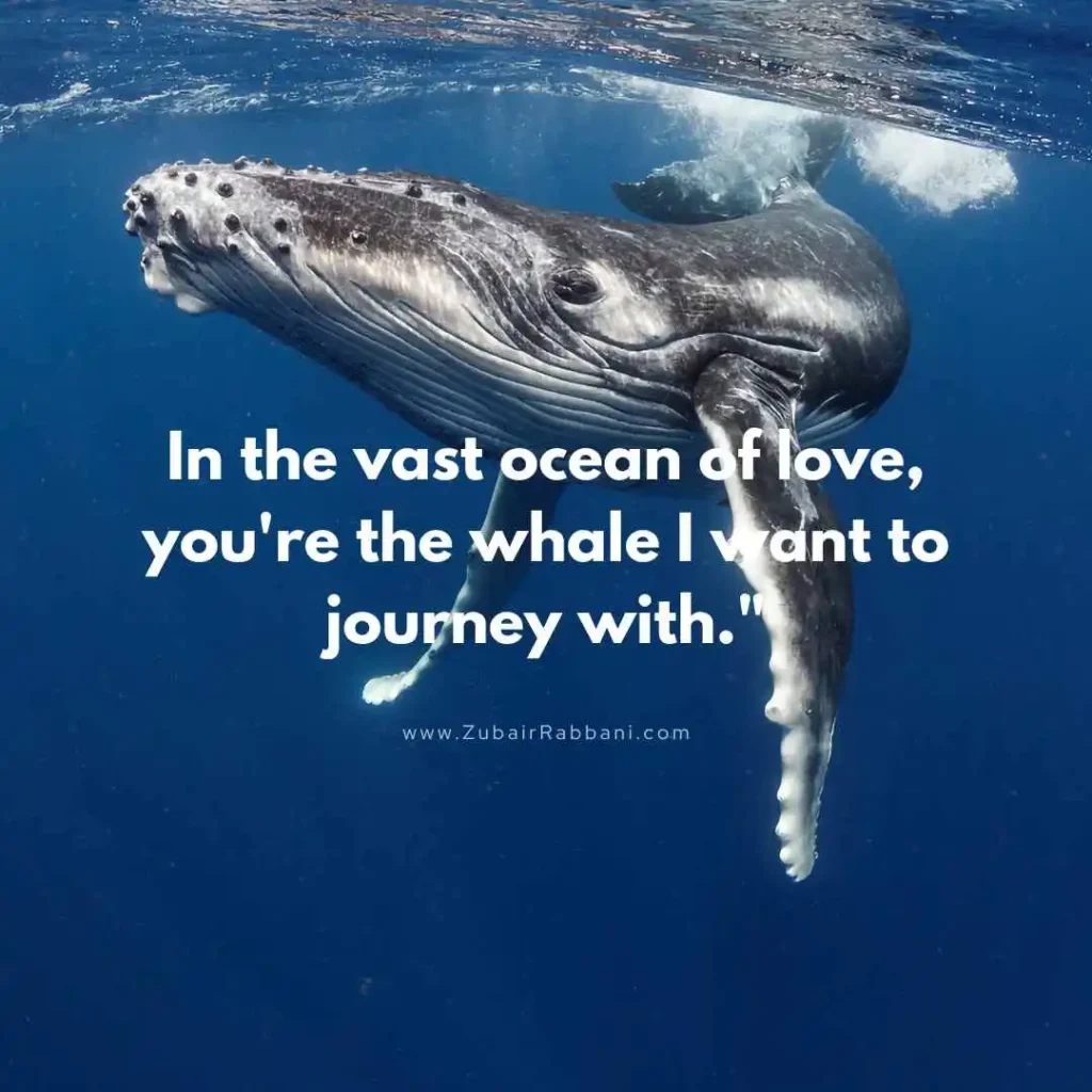 Whale Puns Love