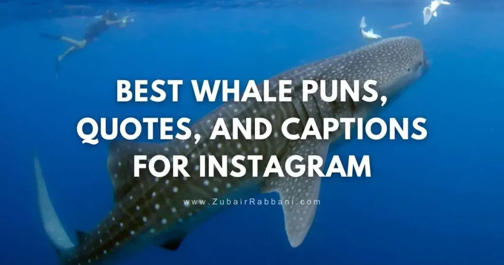 Whale Puns Quotes And Captions