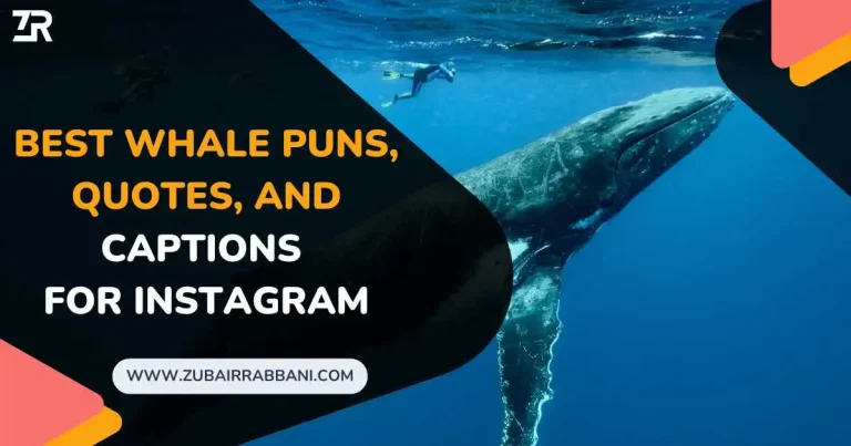 Whale Puns Quotes And Captions For Instagram