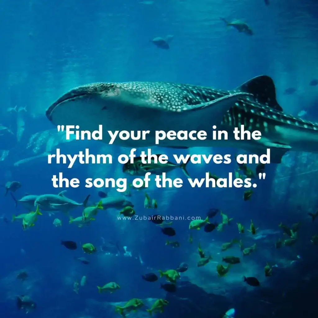 Whale Quotes For Instagram