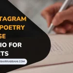 Best Instagram Bio For Poetry Page